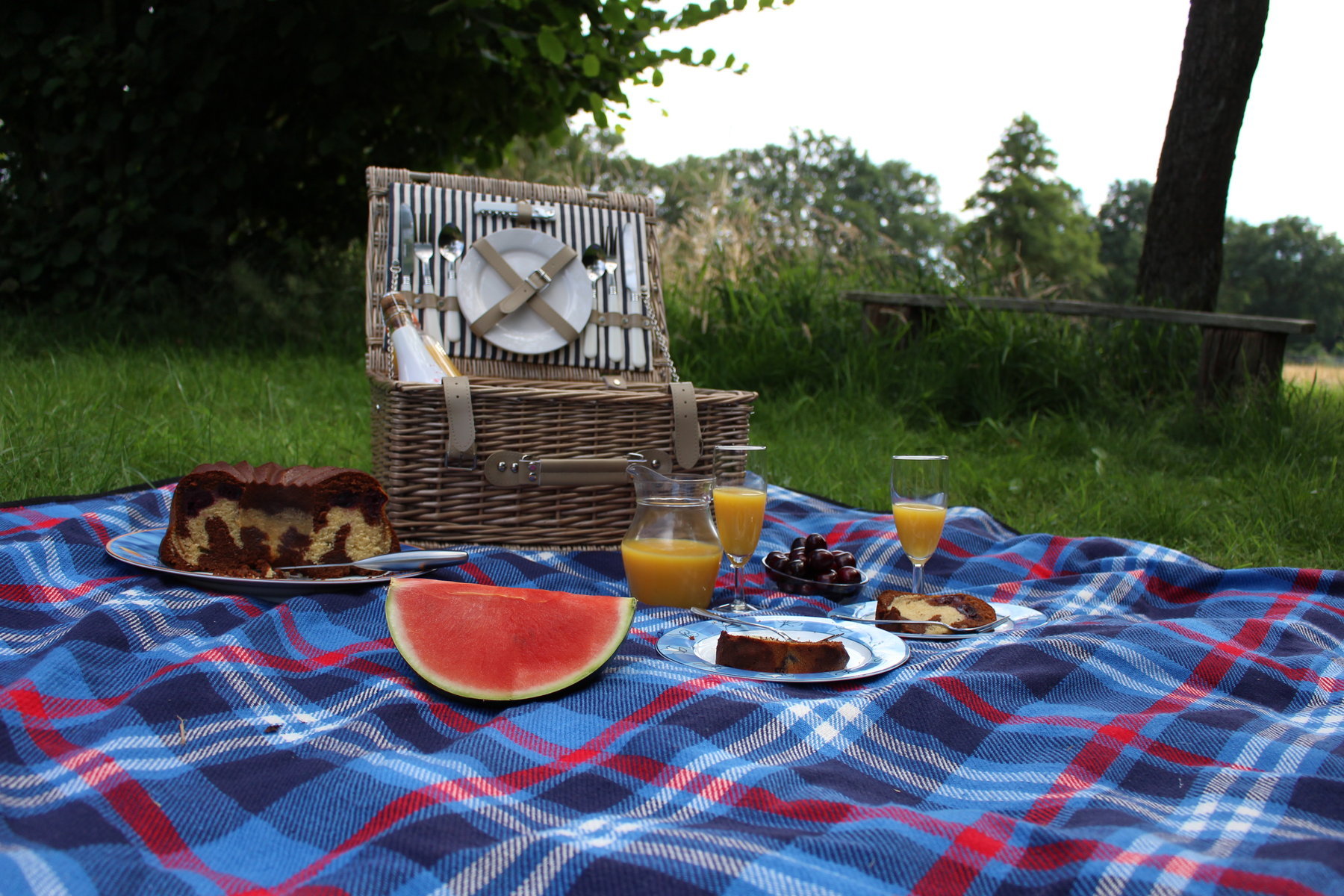 Picknickdecke im Grünen mit Picknickkorb, Essen und Getränken
