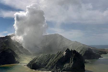 Bei der Eruption auf der Vulkaninsel Whakaari/White Island im Dezember 2019 kamen 22 Menschen ums Leben.