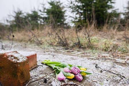 Tulpen liegen an einer Tannenbaumschonung in Wunstorf-Blumenau, wo die Leiche eines 14-jährigen Jungen gefunden worden war.
