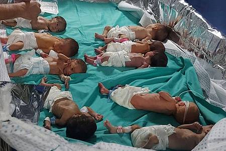 Das Foto zeigt zu früh geborene palästinensische Babys im Schifa-Krankenhaus.