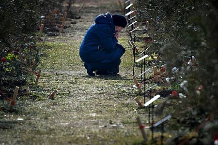 Die Mutter eines russischen Soldaten, der bei einer Militäraktion in der Ukraine getötet wurde, kniet neben einem Baum, der zum Gedenken an ihren Sohn in der Allee der Helden in Sewastopol auf der Krim gepflanzt wurde.