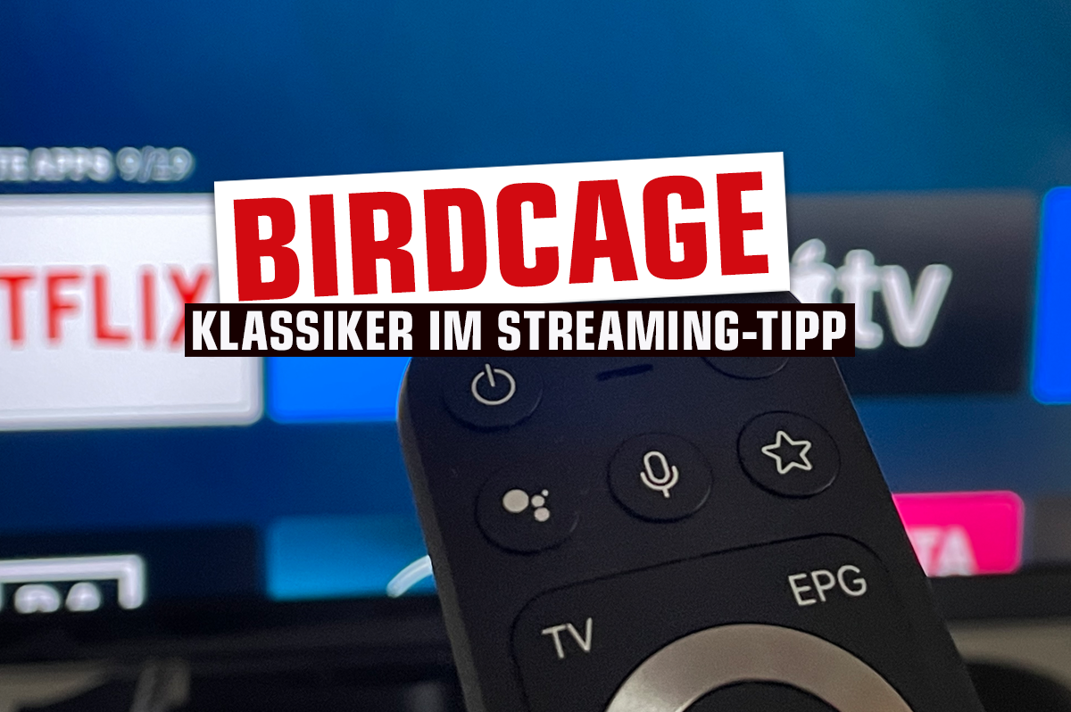 birdcage-streamingtipp
